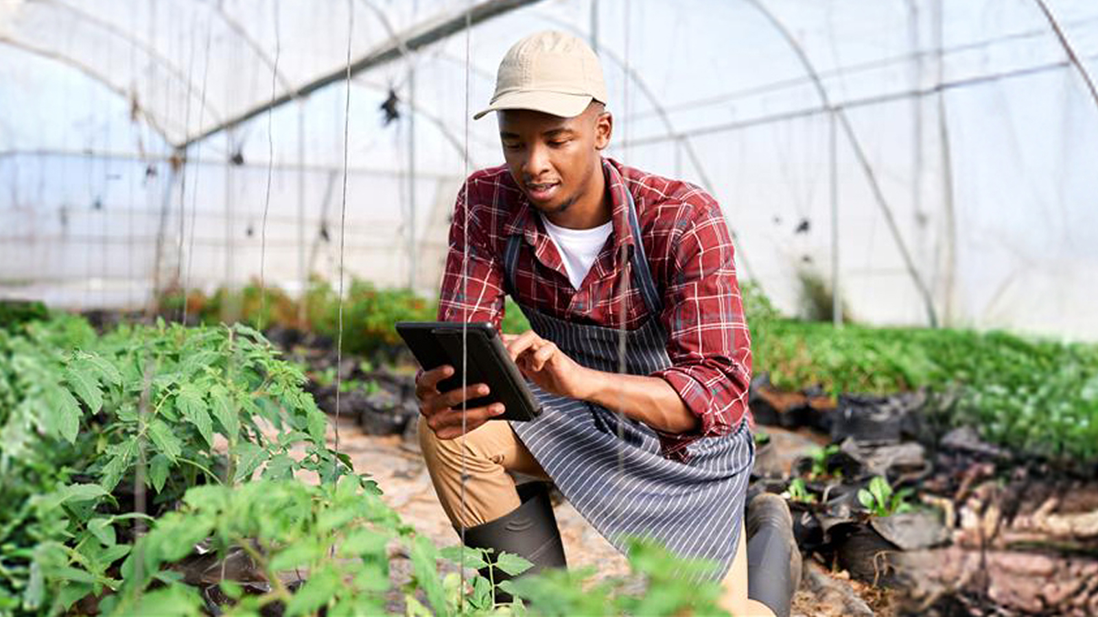 Agri TL Image